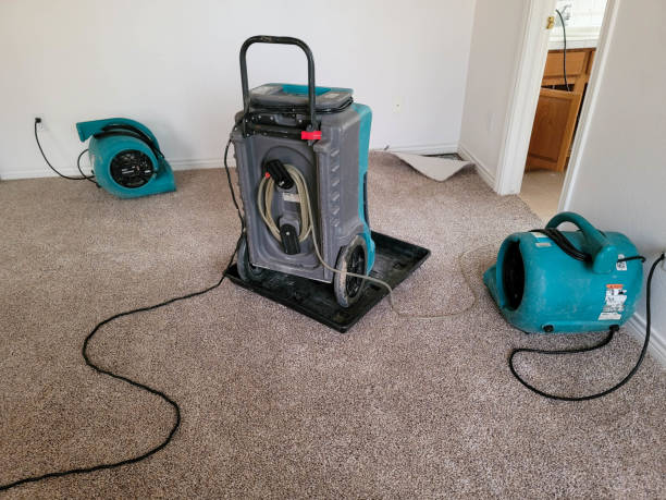 Best 24-hour water damage restoration  in South Bloomfield, OH