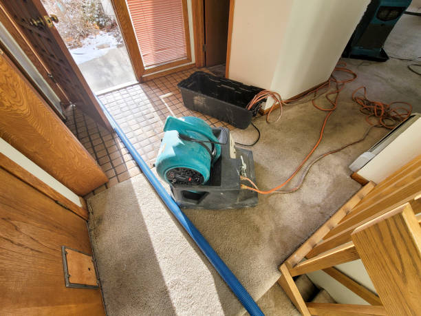Best Water damage restoration cost  in South Bloomfield, OH