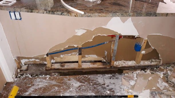 Best Sewage cleanup and water damage restoration  in South Bloomfield, OH