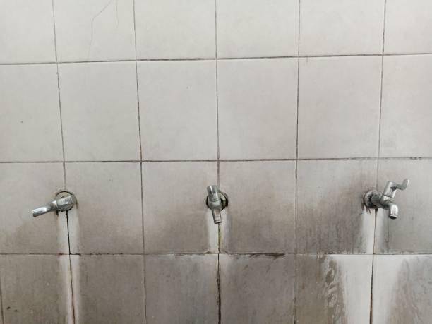 Best Water damage restoration near me  in South Bloomfield, OH