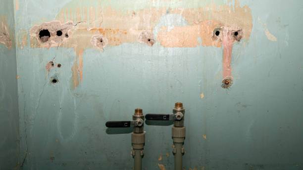 Water damage restoration mold remediation in South Bloomfield, OH