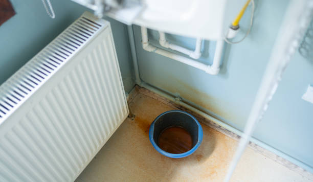 Trusted South Bloomfield, OH Water damage restoration Experts