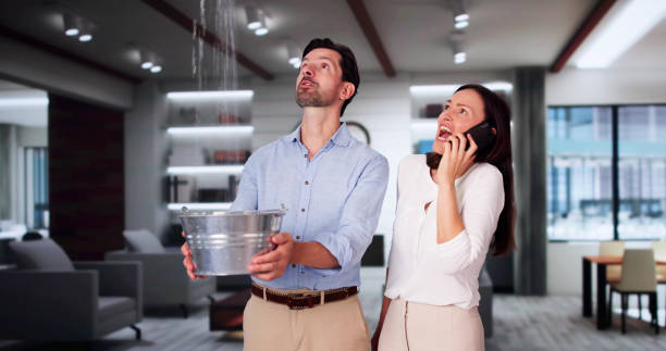 Water damage restoration mold remediation in South Bloomfield, OH