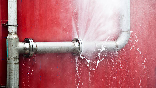 Best Basement water damage restoration  in South Bloomfield, OH